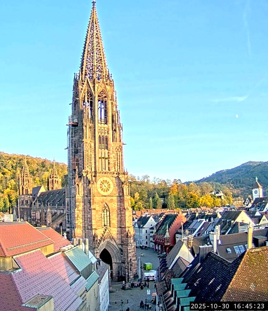 Freiburger Münster